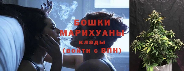 альфа пвп Краснослободск