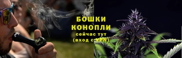 альфа пвп Краснослободск