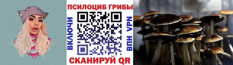 сайты даркнета клад  Усть-Джегута  Галлюциногенные грибы мухоморы  цена наркотик 