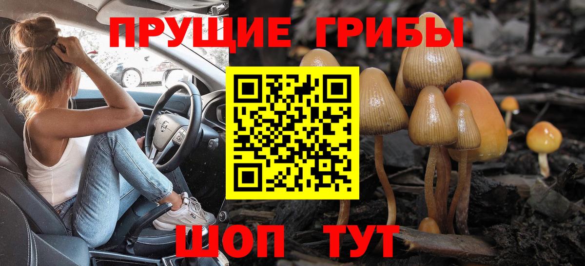 Галлюциногенные грибы MAGIC MUSHROOMS  Галлюциногенные грибы ЛСД  Вход с VPN  Усть-Джегута 
